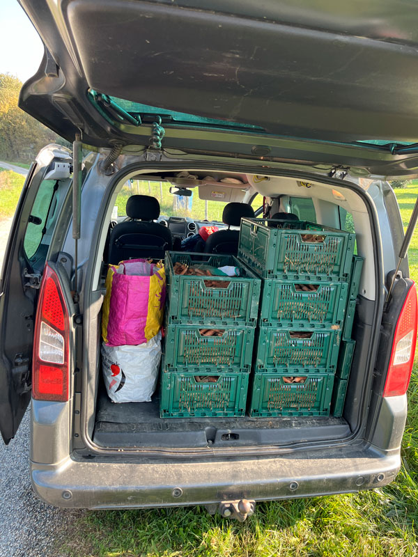glanage_coffre_rempli_20242511 Elles ne veulent plus que le prix soit une barrière, ni pour les mangeurs, ni pour celles et ceux qui produisent. Parmi ces initiatives, certains marchés proposent une triple tarification : chacun paie selon ses moyens, pour que tout le monde puisse accéder aux mêmes produits, dans le respect du travail paysan. Mais comment ces fermes s’organisent-elles concrètement pour que ce modèle tienne dans la durée, à la fois économiquement et humainement ?