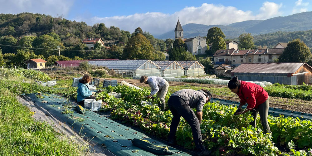 photographie_chantier_paysan_presle photographie d'une filière de pressage de pomme pour obtenir du jus