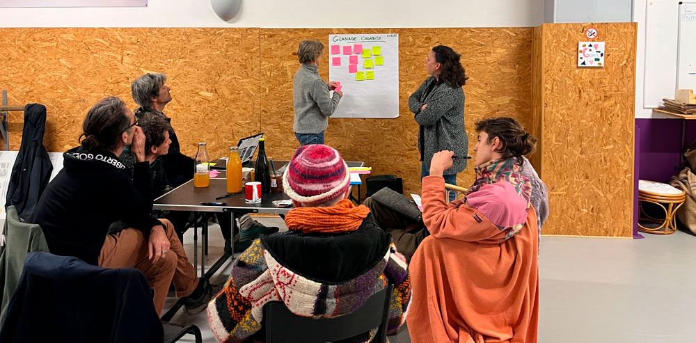 photographie de tomates plein champ rouge et jaunes<br />
