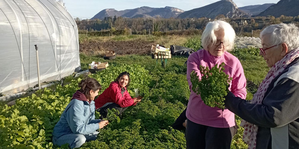 photographie d'une filière de pressage de pomme pour obtenir du jus